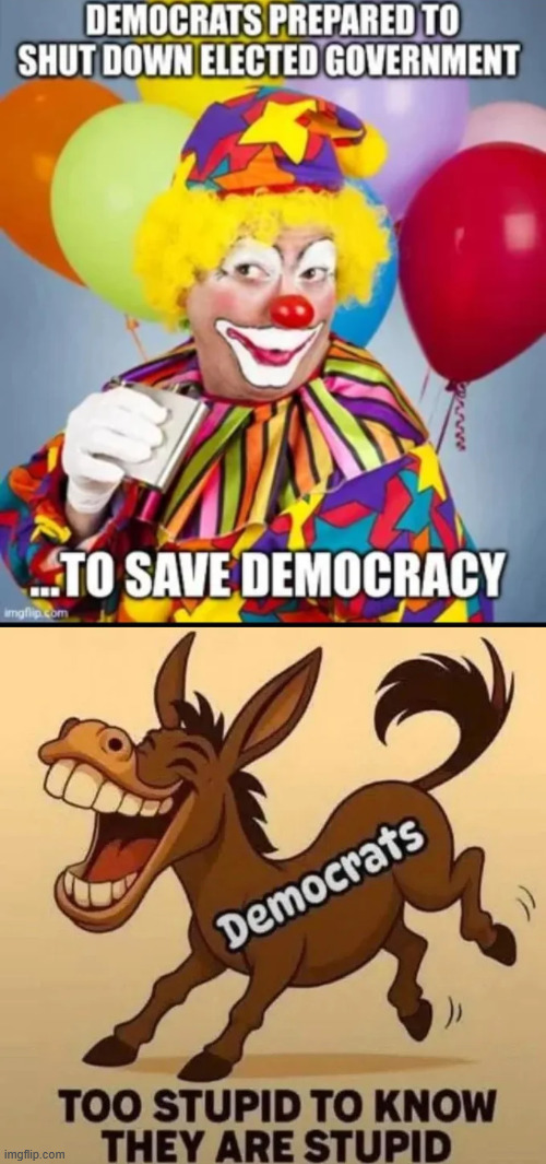 democrats are fooling no one. Their blackmailing tactic failed. | image tagged in no free healthcare for illegals,shut it down | made w/ Imgflip meme maker