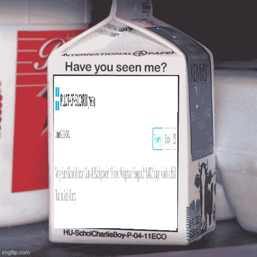 Where is P1LOT-0F-S1CARI0? | image tagged in missing person | made w/ Imgflip meme maker