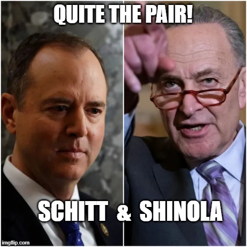 QUITE THE PAIR! SCHITT  &  SHINOLA | image tagged in meme | made w/ Imgflip meme maker