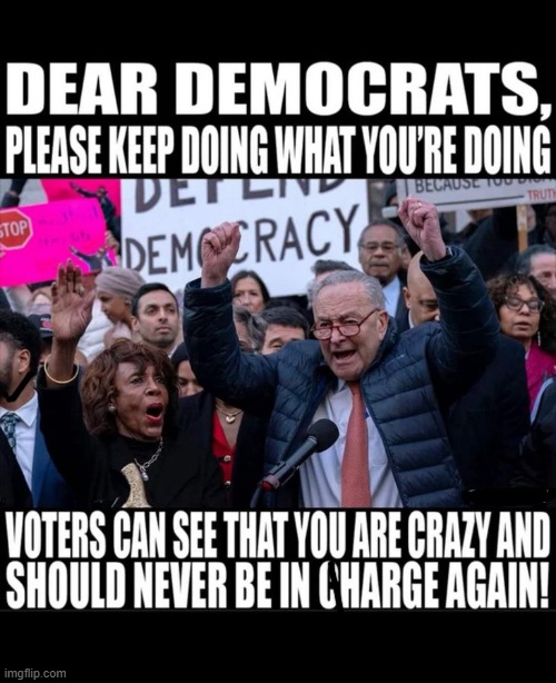 Crazy is as crazy does | image tagged in democrats,crazy,obviously,voters,see | made w/ Imgflip meme maker