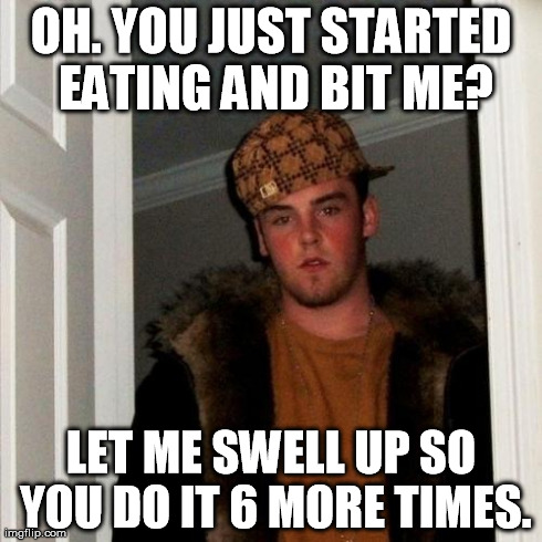 Scumbag Steve Meme | OH. YOU JUST STARTED EATING AND BIT ME? LET ME SWELL UP SO YOU DO IT 6 MORE TIMES. | image tagged in memes,scumbag steve,AdviceAnimals | made w/ Imgflip meme maker