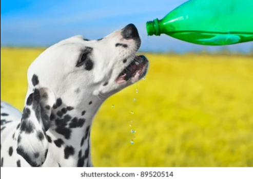 rtrdjuice Blank Meme Template