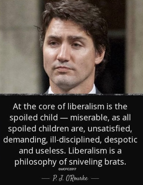 This Is True | image tagged in the truth,libtards,spoiled brat,liberal privilege,liberal hypocrisy,crying liberal | made w/ Imgflip meme maker
