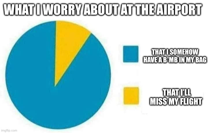 Pie chart | WHAT I WORRY ABOUT AT THE AIRPORT; THAT I SOMEHOW HAVE A B*MB IN MY BAG; THAT I’LL MISS MY FLIGHT | image tagged in pie chart | made w/ Imgflip meme maker