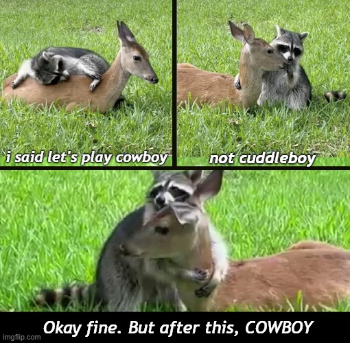i said let's play cowboy Okay fine. But after this, COWBOY not cuddleboy | made w/ Imgflip meme maker