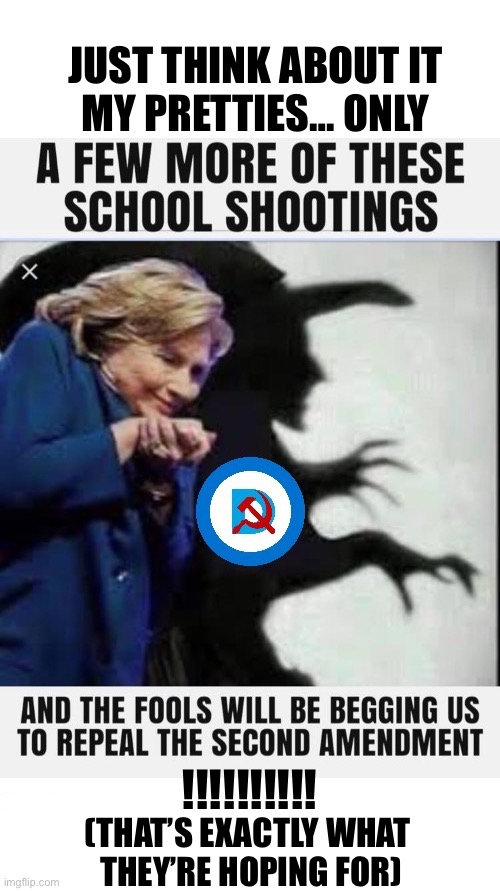 That’s an actual picture of the wicked witch herself… | !!!!!!!!!! (THAT’S EXACTLY WHAT 
THEY’RE HOPING FOR) | image tagged in political meme,hilary clinton,wicked witch,shootings,democrats,guns | made w/ Imgflip meme maker