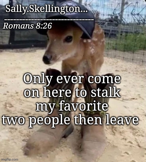 Sally's temp | Only ever come on here to stalk my favorite two people then leave | image tagged in sally's temp | made w/ Imgflip meme maker