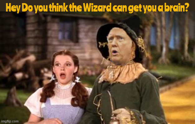 Hey Do you think the Wizard can get you a brain? | Hey Do you think the Wizard can get you a brain? | image tagged in lame brain trump,dementia delusional don,trump stump,maga mindless,hey do you think the wizard can get you a brain | made w/ Imgflip meme maker