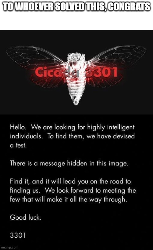 Cicada 3301 | TO WHOEVER SOLVED THIS, CONGRATS | image tagged in cicada,3301 | made w/ Imgflip meme maker