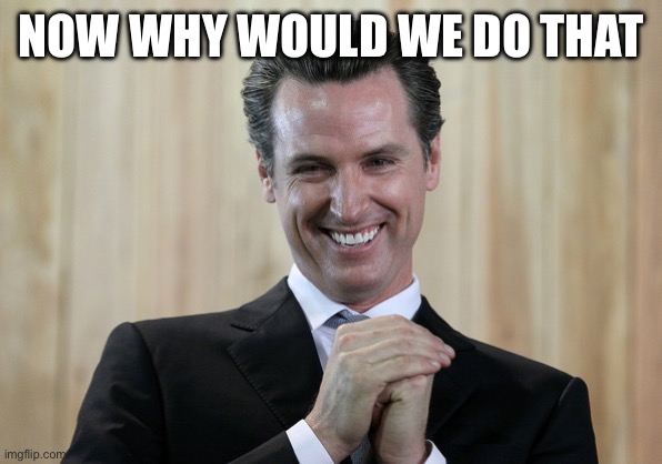 Scheming Gavin Newsom  | NOW WHY WOULD WE DO THAT | image tagged in scheming gavin newsom | made w/ Imgflip meme maker