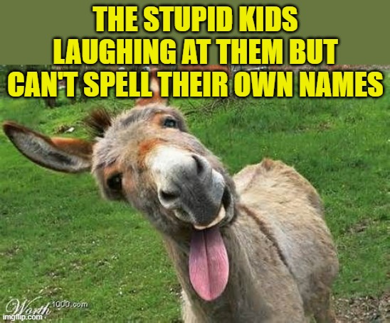 Laughing Donkey | THE STUPID KIDS LAUGHING AT THEM BUT CAN'T SPELL THEIR OWN NAMES | image tagged in laughing donkey | made w/ Imgflip meme maker