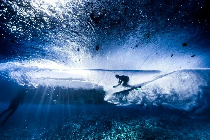 Underneath The Surface Photo credit: Kirvan Baldassari | image tagged in photography | made w/ Imgflip meme maker