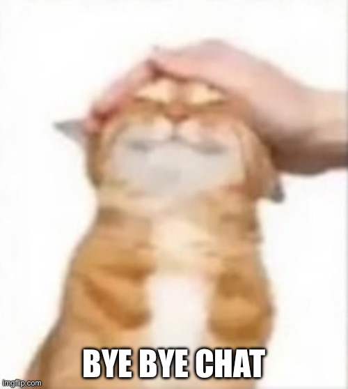 Cat being petted | BYE BYE CHAT | image tagged in cat being petted | made w/ Imgflip meme maker