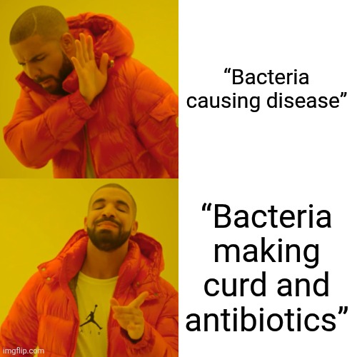 Drake Hotline Bling Meme | “Bacteria causing disease” “Bacteria making curd and antibiotics” | image tagged in memes,drake hotline bling | made w/ Imgflip meme maker