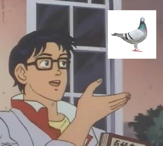 No literally!!! | image tagged in memes,is this a pigeon,pigeon,anime | made w/ Imgflip meme maker