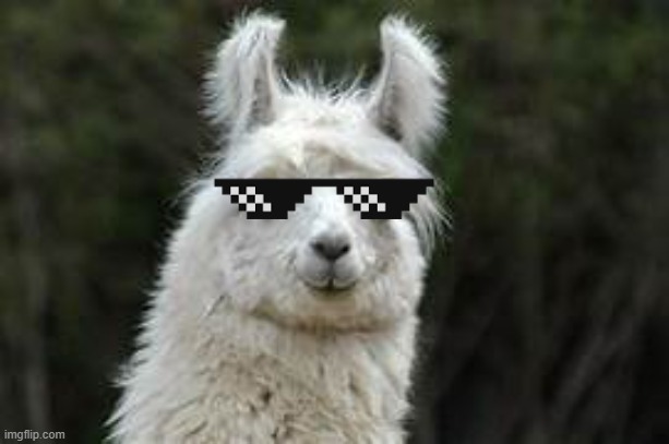 COOLES LAMA!!! Blank Meme Template