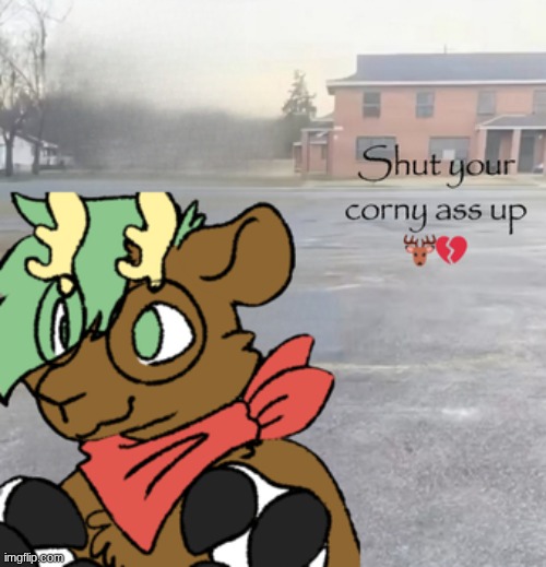 Forrest - Sycau | image tagged in forrest - sycau | made w/ Imgflip meme maker