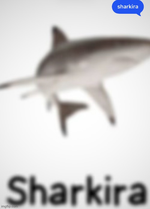 i love doing memes or animals for wallpapers | made w/ Imgflip meme maker