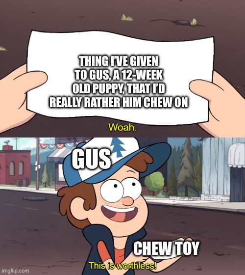 Gus, the 12 week old puppy | THING I’VE GIVEN TO GUS, A 12-WEEK OLD PUPPY, THAT I’D REALLY RATHER HIM CHEW ON; GUS; CHEW TOY | image tagged in this is worthless | made w/ Imgflip meme maker