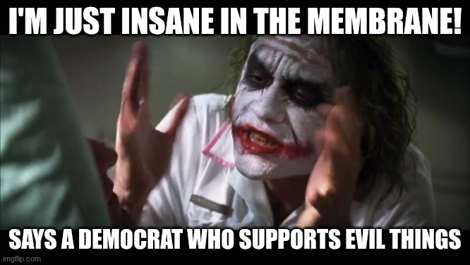 And everybody loses their minds Meme | I'M JUST INSANE IN THE MEMBRANE! SAYS A DEMOCRAT WHO SUPPORTS EVIL THINGS | image tagged in memes,and everybody loses their minds | made w/ Imgflip meme maker