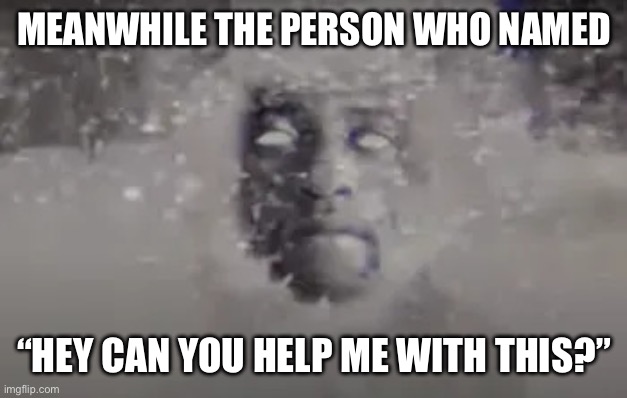 The thing | MEANWHILE THE PERSON WHO NAMED “HEY CAN YOU HELP ME WITH THIS?” | image tagged in the thing | made w/ Imgflip meme maker