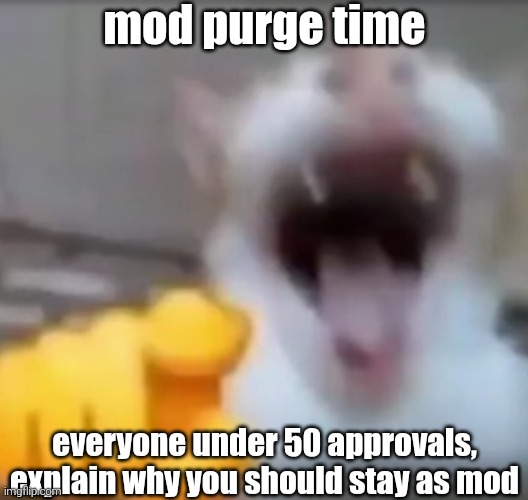 you have 24 hours to give me a good reason for you to stay as mod | mod purge time; everyone under 50 approvals, explain why you should stay as mod | image tagged in beware the man who throws hands | made w/ Imgflip meme maker