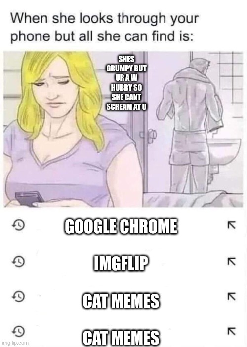 When she looks through your phone but all she finds is this | SHES GRUMPY BUT UR A W HUBBY SO SHE CANT SCREAM AT U; GOOGLE CHROME
 
IMGFLIP
 
CAT MEMES
 
CAT MEMES | image tagged in when she looks through your phone but all she finds is this,funny,relatable,wives,wife,for the bois | made w/ Imgflip meme maker