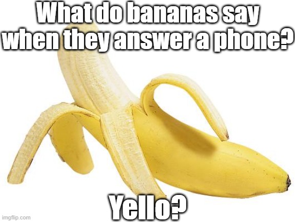 banana peeled | What do bananas say when they answer a phone? Yello? | image tagged in banana peeled | made w/ Imgflip meme maker