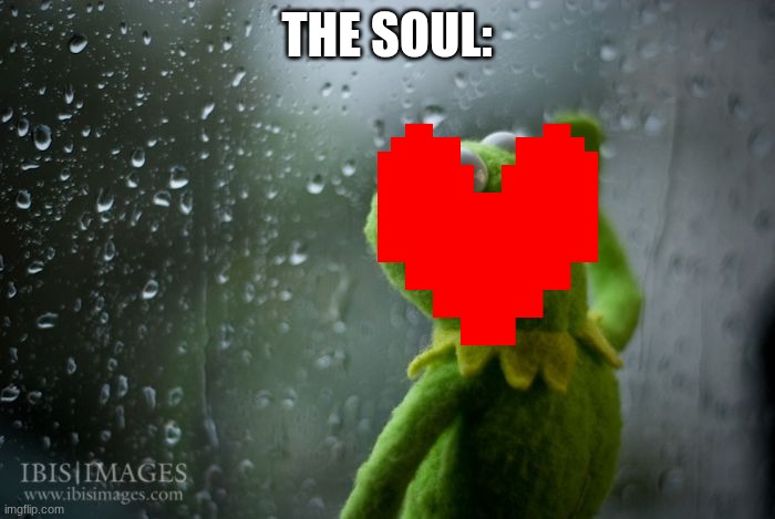 kermit window | THE SOUL: | image tagged in kermit window | made w/ Imgflip meme maker