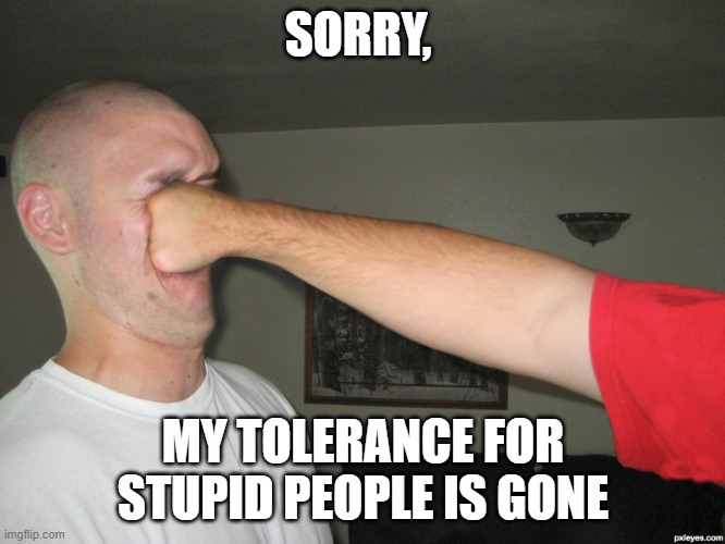 Face punch | SORRY, MY TOLERANCE FOR STUPID PEOPLE IS GONE | image tagged in face punch | made w/ Imgflip meme maker
