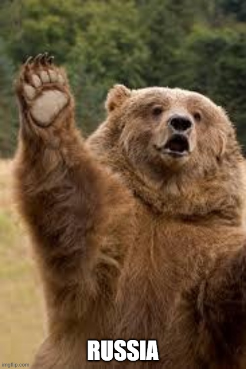 grizzly bear | RUSSIA | image tagged in grizzly bear | made w/ Imgflip meme maker