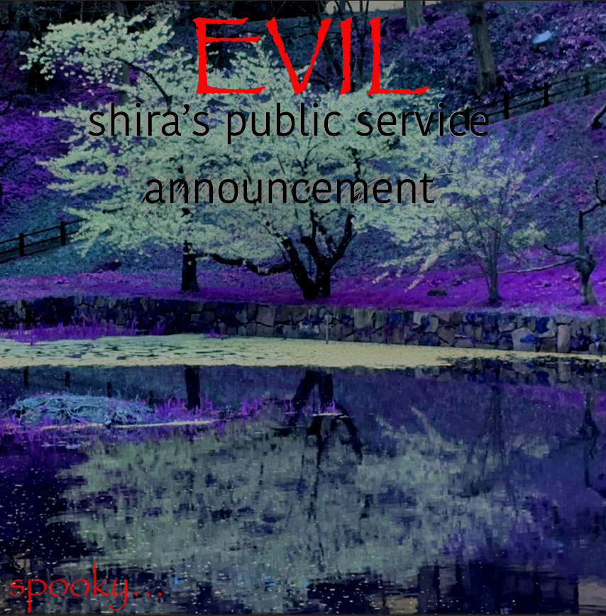 Shira temp Blank Meme Template