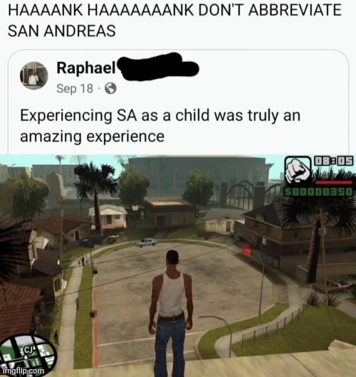 All we had to do was not use the damn abbreviation, CJ! | image tagged in gta san andreas,abbreviation,hank | made w/ Imgflip meme maker
