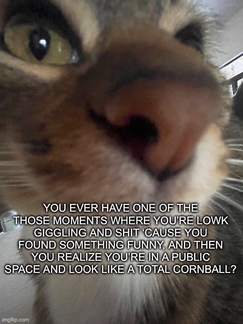 YOU EVER HAVE ONE OF THE THOSE MOMENTS WHERE YOU’RE LOWK GIGGLING AND SHIT ‘CAUSE YOU FOUND SOMETHING FUNNY, AND THEN YOU REALIZE YOU’RE IN A PUBLIC SPACE AND LOOK LIKE A TOTAL CORNBALL? | made w/ Imgflip meme maker