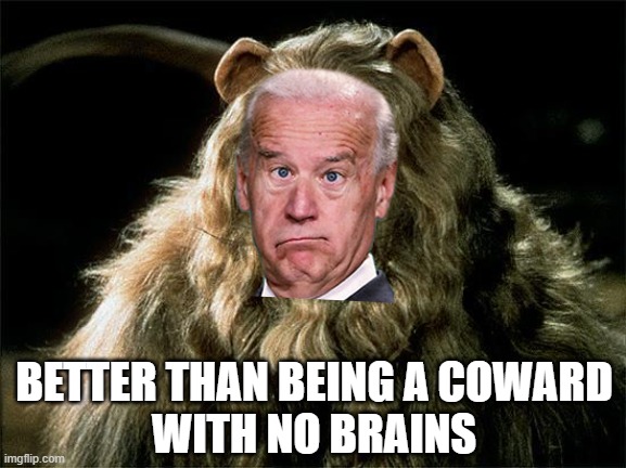 cowardly lion | BETTER THAN BEING A COWARD
WITH NO BRAINS | image tagged in cowardly lion | made w/ Imgflip meme maker
