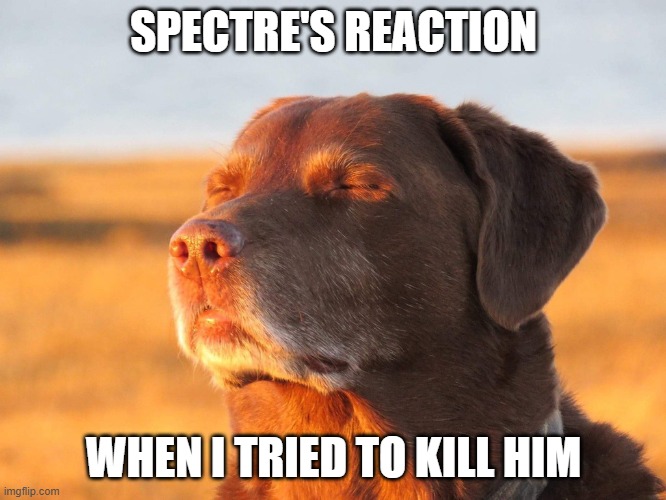 Pov: Forsaken | SPECTRE'S REACTION; WHEN I TRIED TO KILL HIM | image tagged in cooked dog,roblox,roblox meme | made w/ Imgflip meme maker