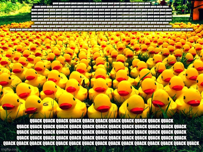 Rubber Ducky Army | QUACK QUACK QUACK QUACK QUACK QUACK QUACK QUACK QUACK QUACK QUACK QUACK QUACK QUACK QUACK QUACK QUACK QUACK QUACK QUACK QUACK QUACK QUACK QU | image tagged in rubber ducky army | made w/ Imgflip meme maker