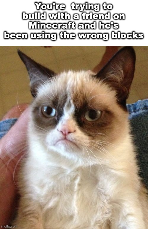 bruh | You're  trying to build with a friend on Minecraft and he's been using the wrong blocks | image tagged in memes,grumpy cat,funny | made w/ Imgflip meme maker