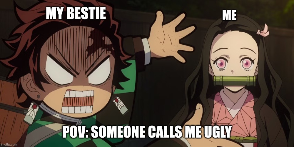 *~DEMON SLAYOR~* | MY BESTIE; ME; POV: SOMEONE CALLS ME UGLY | image tagged in funny because it's true | made w/ Imgflip meme maker