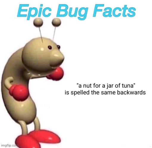 . | "a nut for a jar of tuna" is spelled the same backwards | image tagged in epic bug facts | made w/ Imgflip meme maker