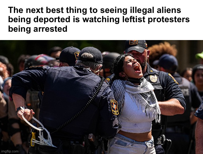 Change my mind | The next best thing to seeing illegal aliens 
being deported is watching leftist protesters 
being arrested | image tagged in protester | made w/ Imgflip meme maker