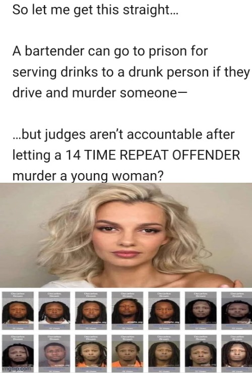 14 Time Repeat Offender | image tagged in her blood is on all liberals hands | made w/ Imgflip meme maker