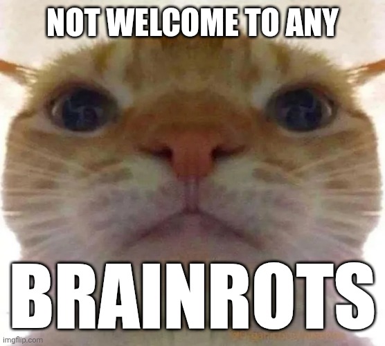 No brain rots #3 | NOT WELCOME TO ANY; BRAINROTS | image tagged in bruh face cat | made w/ Imgflip meme maker