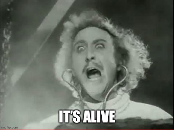 Young Frankenstein | IT’S ALIVE | image tagged in young frankenstein | made w/ Imgflip meme maker