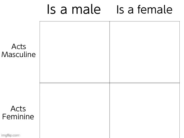 Oh boy where do I go | image tagged in is a male/female is masculine/feminine board | made w/ Imgflip meme maker