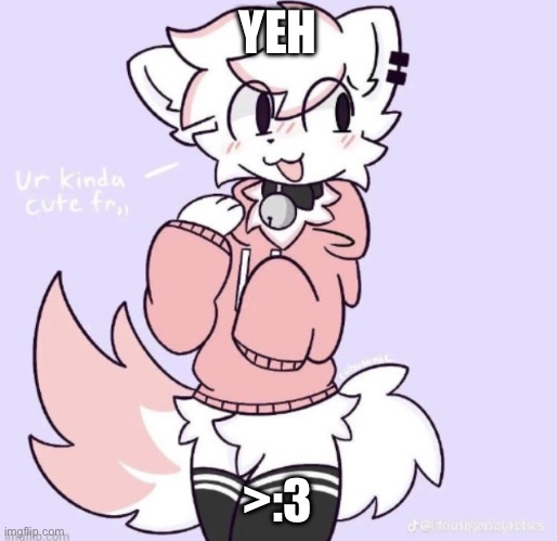 boykisser glow up | YEH >:3 | image tagged in boykisser glow up | made w/ Imgflip meme maker