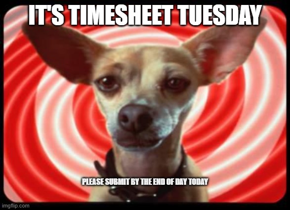 Timesheet Tuesday | IT'S TIMESHEET TUESDAY; PLEASE SUBMIT BY THE END OF DAY TODAY | image tagged in taco bell dog | made w/ Imgflip meme maker