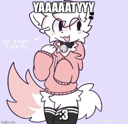 boykisser glow up | YAAAAATYYY :3 | image tagged in boykisser glow up | made w/ Imgflip meme maker