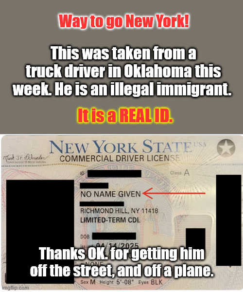 A New York State of Mind | Way to go New York! This was taken from a truck driver in Oklahoma this week. He is an illegal immigrant. It is a REAL ID. Thanks OK. for getting him off the street, and off a plane. | made w/ Imgflip meme maker