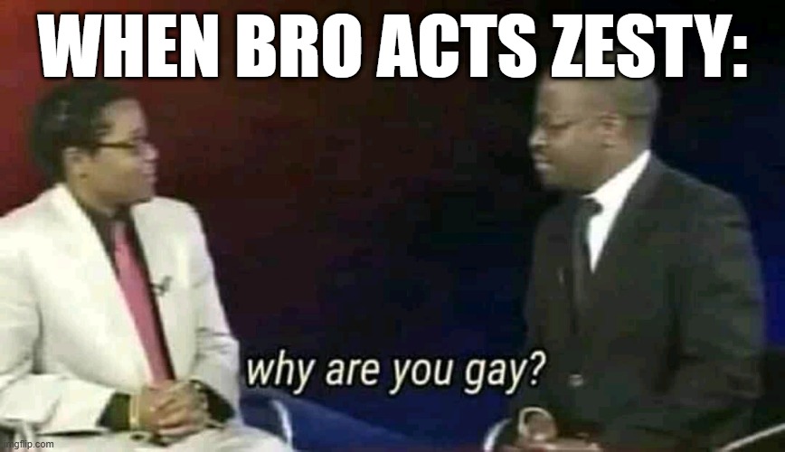 Why are you gay? | WHEN BRO ACTS ZESTY: | image tagged in why are you gay | made w/ Imgflip meme maker